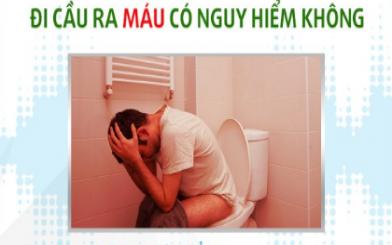 Đi cầu ra máu có nguy hiểm không?