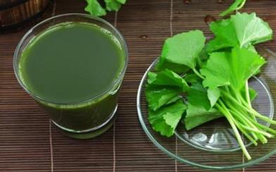 Các loại thuốc trị bệnh trĩ