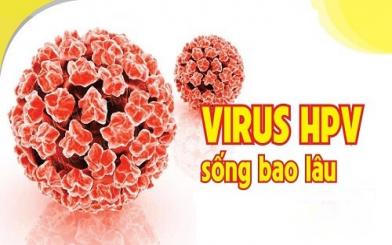 Tìm hiểu: Virus sùi mào gà sống bao lâu và cách loại bỏ triệt để!