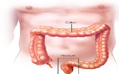 Hậu môn trực tràng là gì? [7 bệnh lý phổ biến nhất]