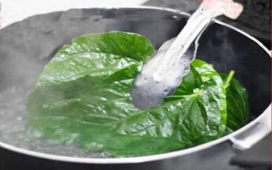 Rửa vùng kín bằng lá trầu có thật sự an toàn?