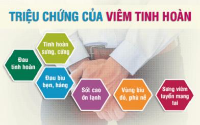 Viêm tinh hoàn triệu chứng & cách chữa hiệu quả