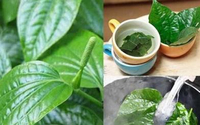 Tìm hiểu các phương pháp điều trị viêm tinh hoàn tại nhà 