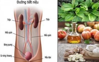 9 Cách chữa viêm niệu đạo bằng thuốc dân gian hiệu quả