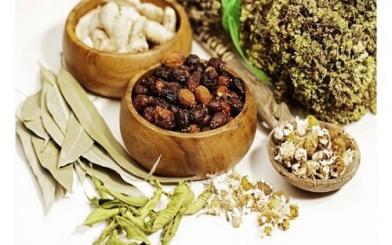 Chữa bệnh tiền liệt tuyến bằng đông y có hiệu quả?