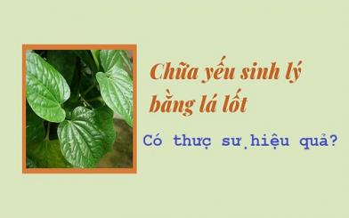 TOP 5+ Cách chữa yếu sinh lý bằng lá lốt an toàn, hiệu quả