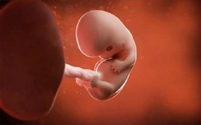 [ Giải Đáp ] Phá thai 8 tuần tuổi có tội không và cách phá an toàn