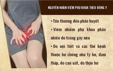 [ Review ] 10+ Thuốc Đông y trị viêm phụ khoa phổ biến hiệu quả