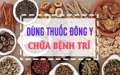 Các bài thuốc đông y trị bệnh trĩ hiệu quả 2024
