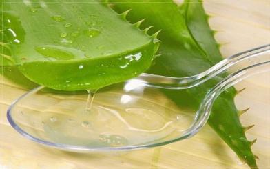 5 cách chữa bệnh trĩ bằng nha đam hiệu quả dễ thực hiện