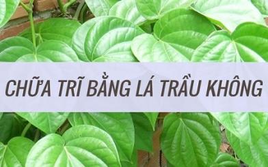 5+ cách chữa bệnh trĩ ngoại sau sinh bằng các mẹo dân gian