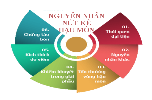 5 nguyên nhân nứt kẽ hậu môn