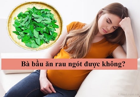 Những lợi ích và tác hại của rau ngót đối với bà bầu