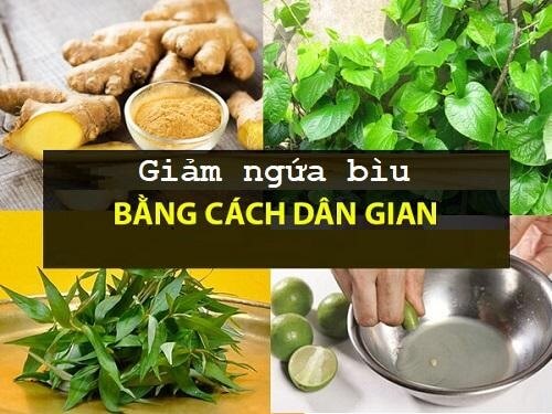 Bài thuốc dân gian trị ngứa bìu