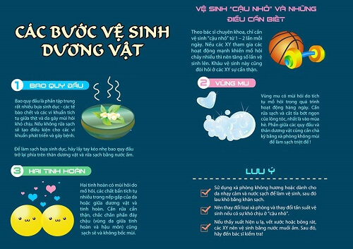 Các bước vệ sinh dương vật đúng cách