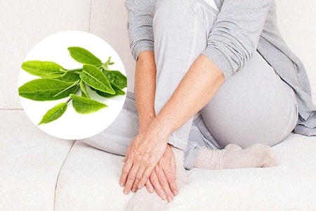 Cách chữa viêm phụ khoa tại nhà