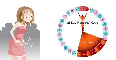 Kinh nguyệt và vai trò của kinh nguyệt đối với phụ nữ