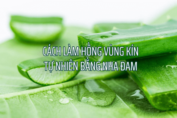 Cách làm hồng vùng kín tại nhà cực nhanh bằng lô hội và mật ong