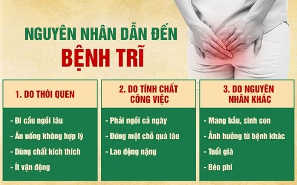 Điểm danh các nguyên nhân gây bệnh trĩ nội