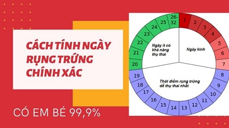 Các công thức tính ngày rụng trứng phổ biến