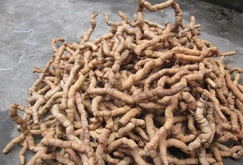 Bài thuốc chữa yếu sinh lý ở nam giới từ ba kích