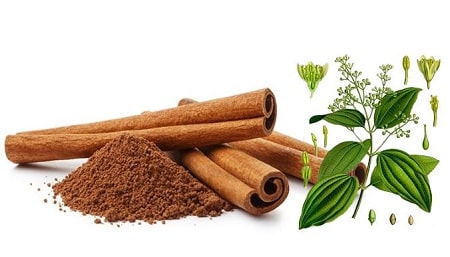 Cây thuốc nam chữa bệnh viêm tinh hoàn