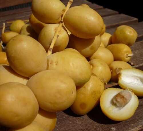Quả chà là chữa liệt dương