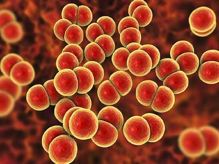 Chlamydia sống được bao lâu phụ thuộc vào những yếu tố nào?