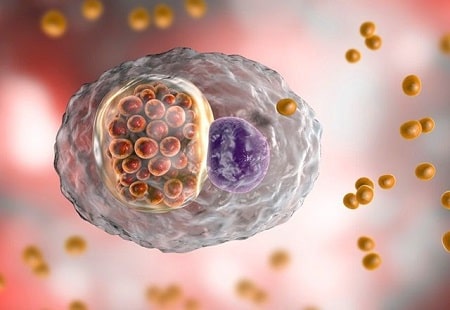 Chlamydia sống được bao lâu, khi nào phát tác triệu chứng?