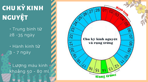 Chu kỳ kinh nguyệt