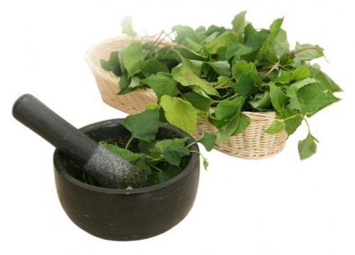Đắp rau diếp cả giảm triệu chứng ngứa rát hậu môn
