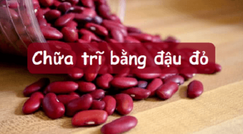 Đậu đỏ to chữa bệnh trĩ