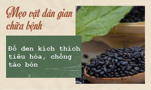 Đỗ đen kích thích tiêu hóa, chống táo bón