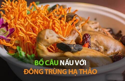 Đông trùng hạ thảo hầm chim bồ câu