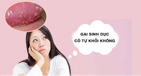 Tìm hiểu thêm: Gai sinh dục có tự hết không?