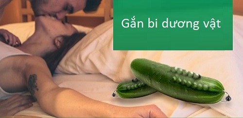 Gắn bi dương vật