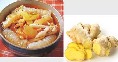 Gừng nấu bong bóng cá chữa liệt dương