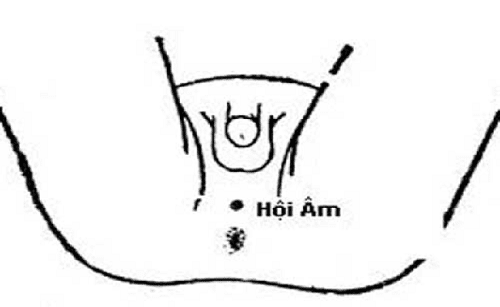 Bấm huyệt hội âm chữa xuất tinh sớm 