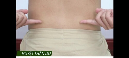 Huyệt thận du
