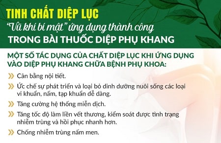 Vai trò của lá bàng đối với việc điều trị viêm phụ khoa