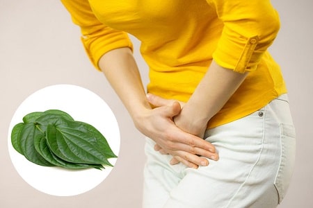 Lá trầu không chữa viêm phụ khoa áp dụng như thế nào?