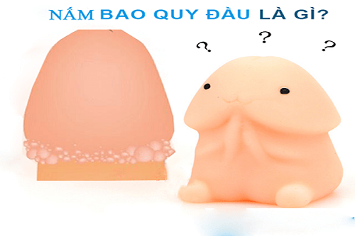Nấm bao quy đầu