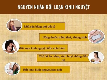 Nguyên nhân rối loạn kinh nguyệt ở nữ giới là gì?