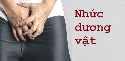Nhức dương vật