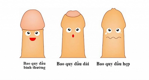 Những sự thật về bao quy đầu