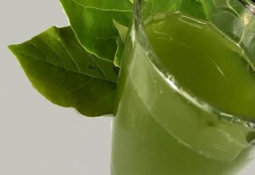 Nước lá bàng