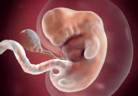 Giải đáp từ chuyên gia: Phá thai dưới 7 tuần tuổi có tội không ?
