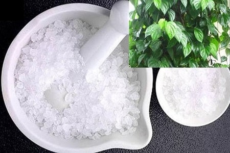 Chữa viêm phụ khoa bằng phèn chua và lá trầu không