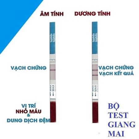 Que test nhanh bệnh giang mai được sử dụng theo quy trình nào?