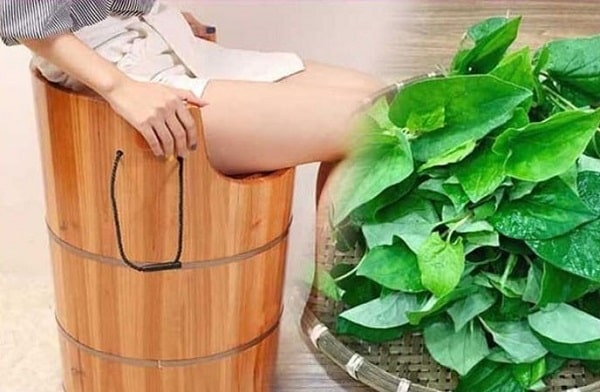 2. Đắp rau diếp cá vào hậu môn